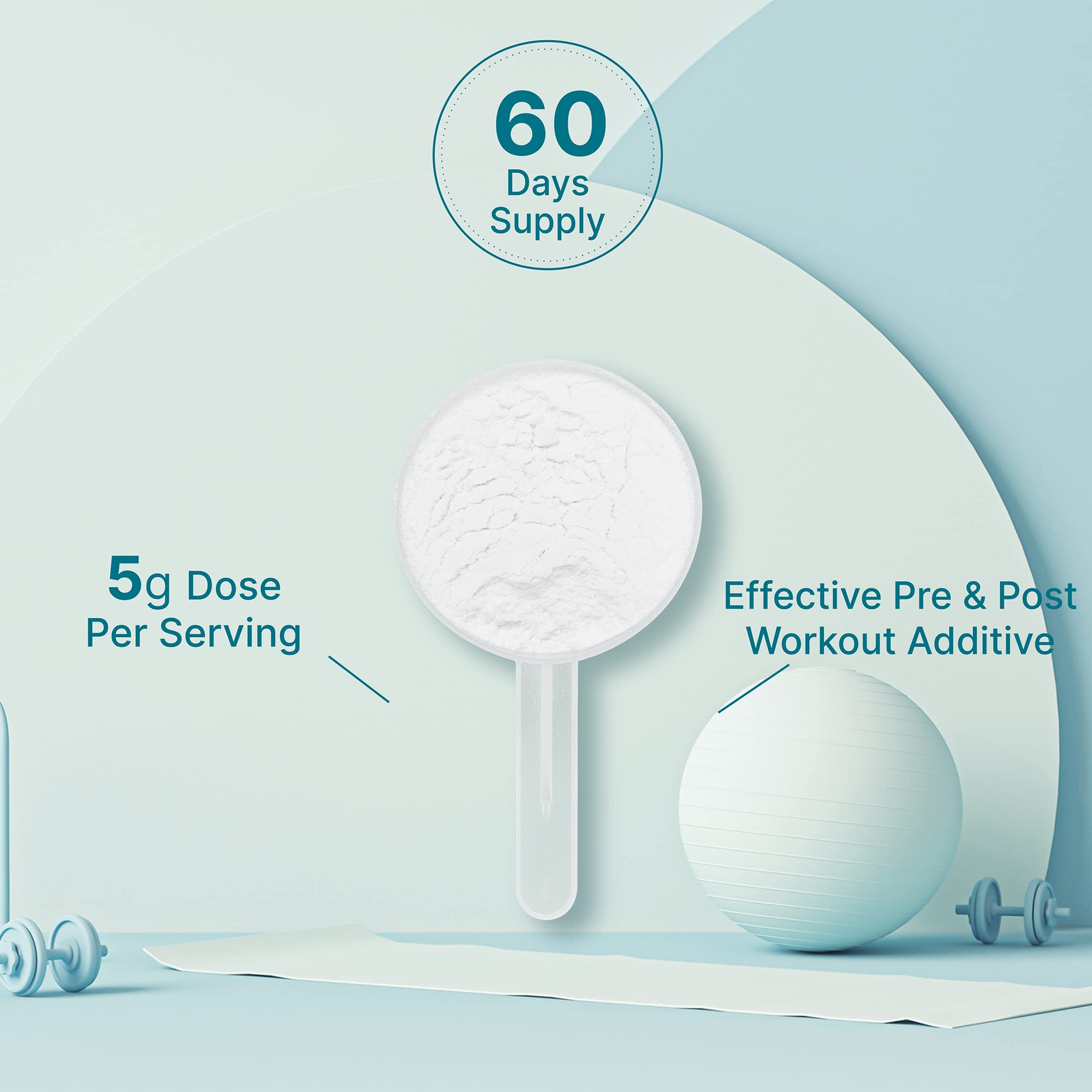 Micronized Creatine Monohydrate, 60 Servings, 5g Per Serving (300g/0.7lb) | Fast Absorbing & Unflavored | Supports Strength, Power & High-Intensity Training* | Vegan, Keto, Non-GMO