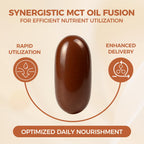 LIRAE Ceylon Cinnamon SoftGels with MCT Oil, Highly Bioavailable Herbal Extract, Non-GMO, Gluten Free - 300 Softgels (1)