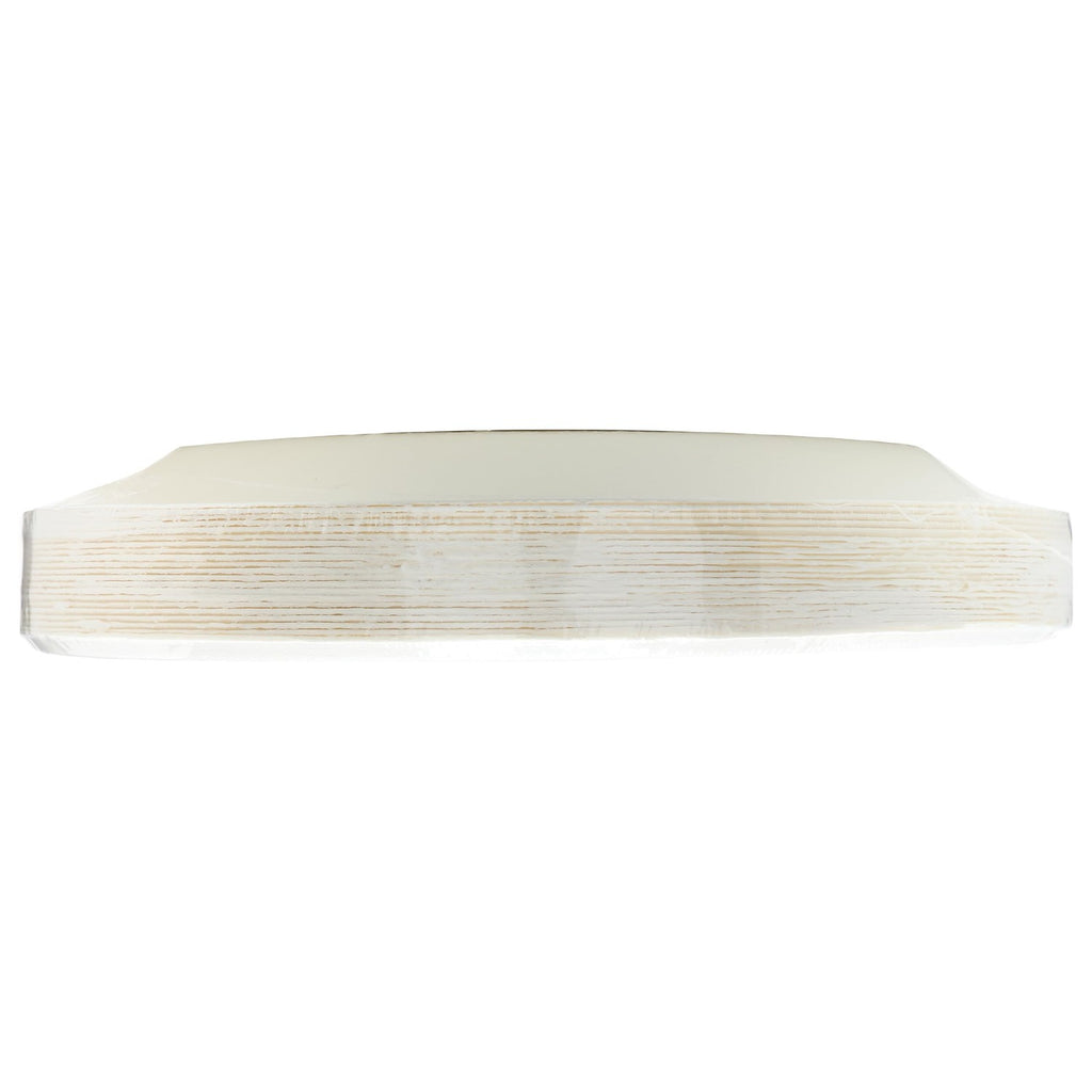 Repurpose Compostable 9 Inch Plates 20 Count, 20 CT