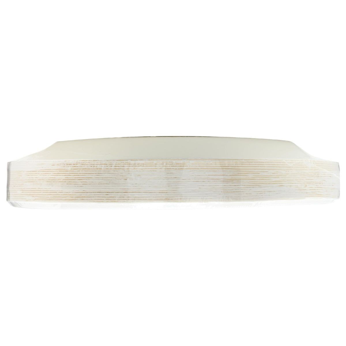 Repurpose Compostable 9 Inch Plates 20 Count, 20 CT