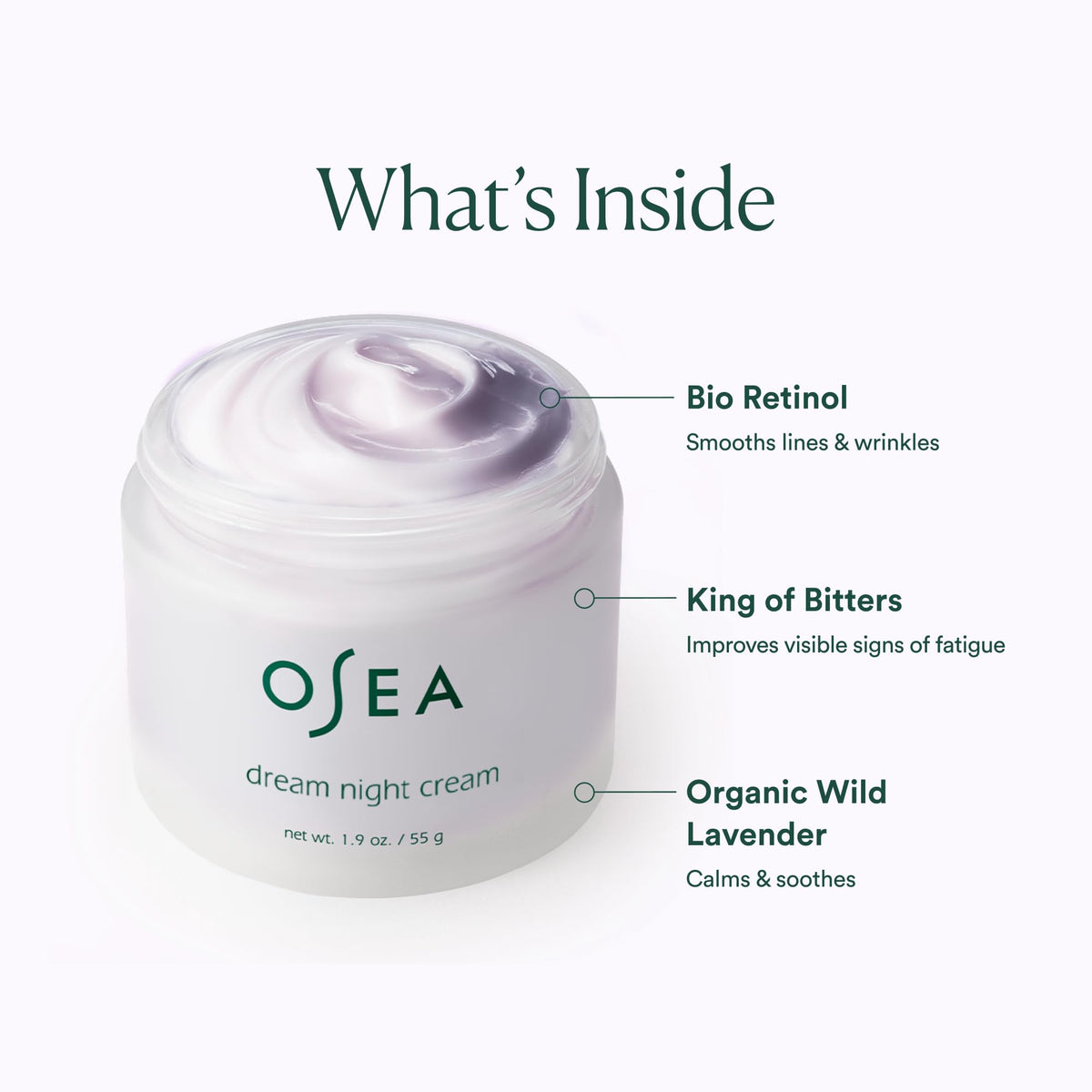 OSEA Dream Night Cream with Bio-Retinol - Anti-Aging Hydrating Face Cream with Algae-Derived Bio Retinol - Plumps, Firms, & Smooths Line and Wrinkles
