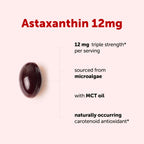 Micro Ingredients Astaxanthin 12mg Per Serving with MCT Oil, 45 Softgels | Natural Microalgae Sourced Astaxanthin Supplement. Easy-to-Swallow Softgels. Non-GMO, Gluten Free, Soy Free.