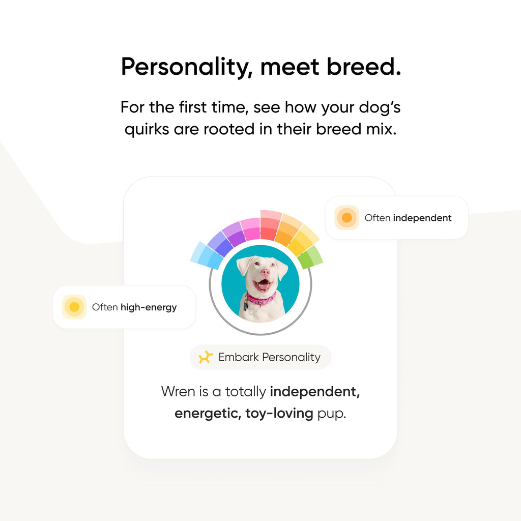 Embark Breed ID Dog DNA Test Kit – 400+ Breeds, 99% Breed Accuracy