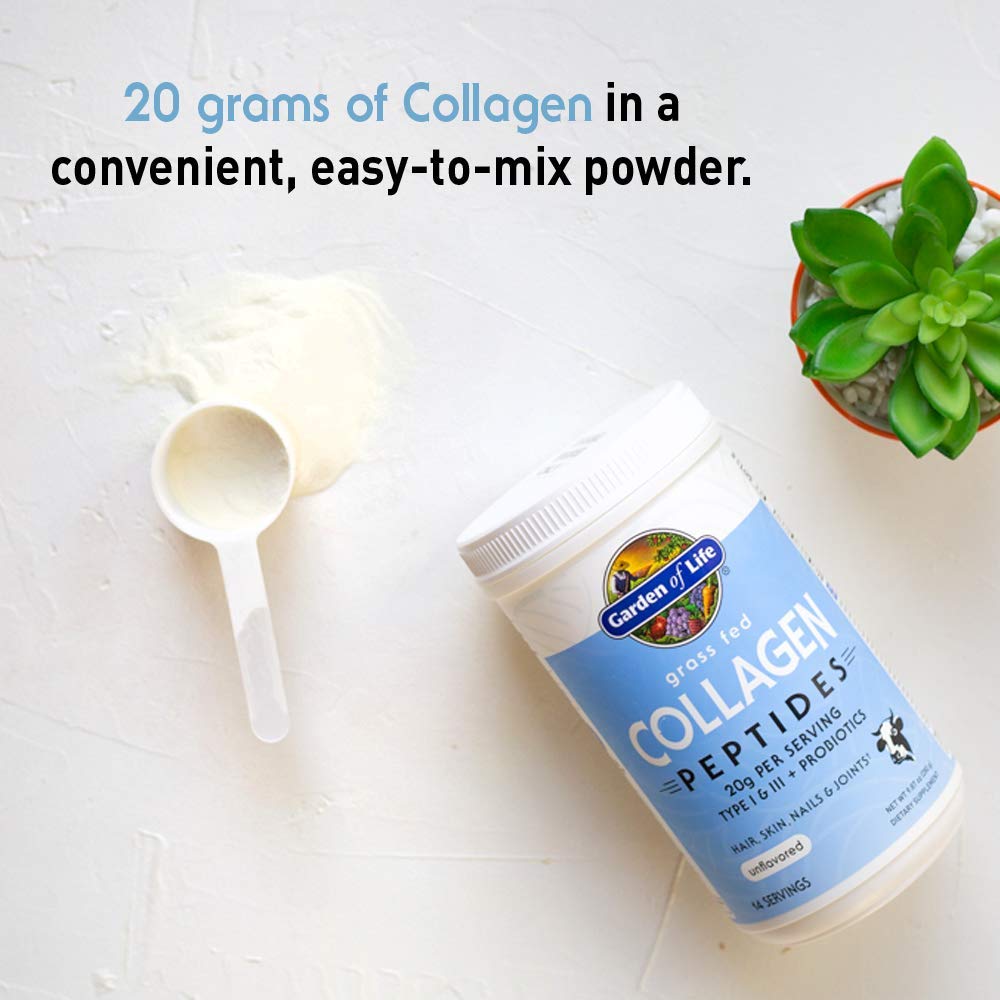 Buy now Garden of Life Grass Fed Collagen Peptides Powder Unflavored Collagen Powder for Women Men Hair Skin Nails Joints, Hydrolyzed Collagen Protein Supplements, Collagen for Women & Men, 14 Servings at indiglob india