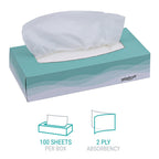 Windsoft 2360 Facial Tissue in Pop-Up Box, Box of 100 (Case of 30 Boxes)