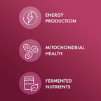 Dr. Mercola Organic Fermented Beets, 15 mg, 60 Capsules (30 Servings)