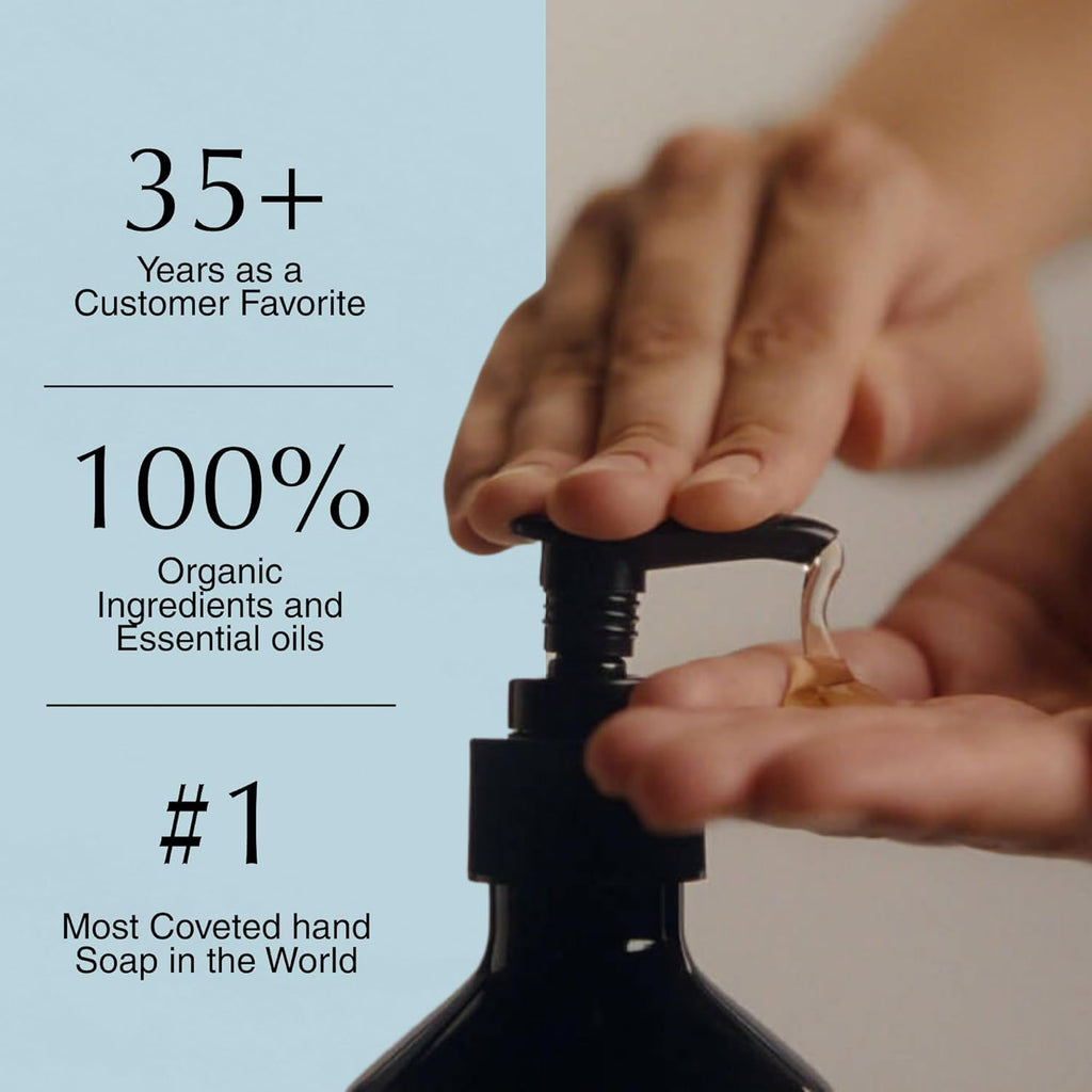 Aesop Reverence Aromatique Exfoliating Hand Wash | Exfoliating Hand Soap with Finely Milled Pumice | Gentle Cleanser & Skin-Smoothing Formula with Vetiver & Bergamot | 500mL / 16.9 oz (Pack of 5)