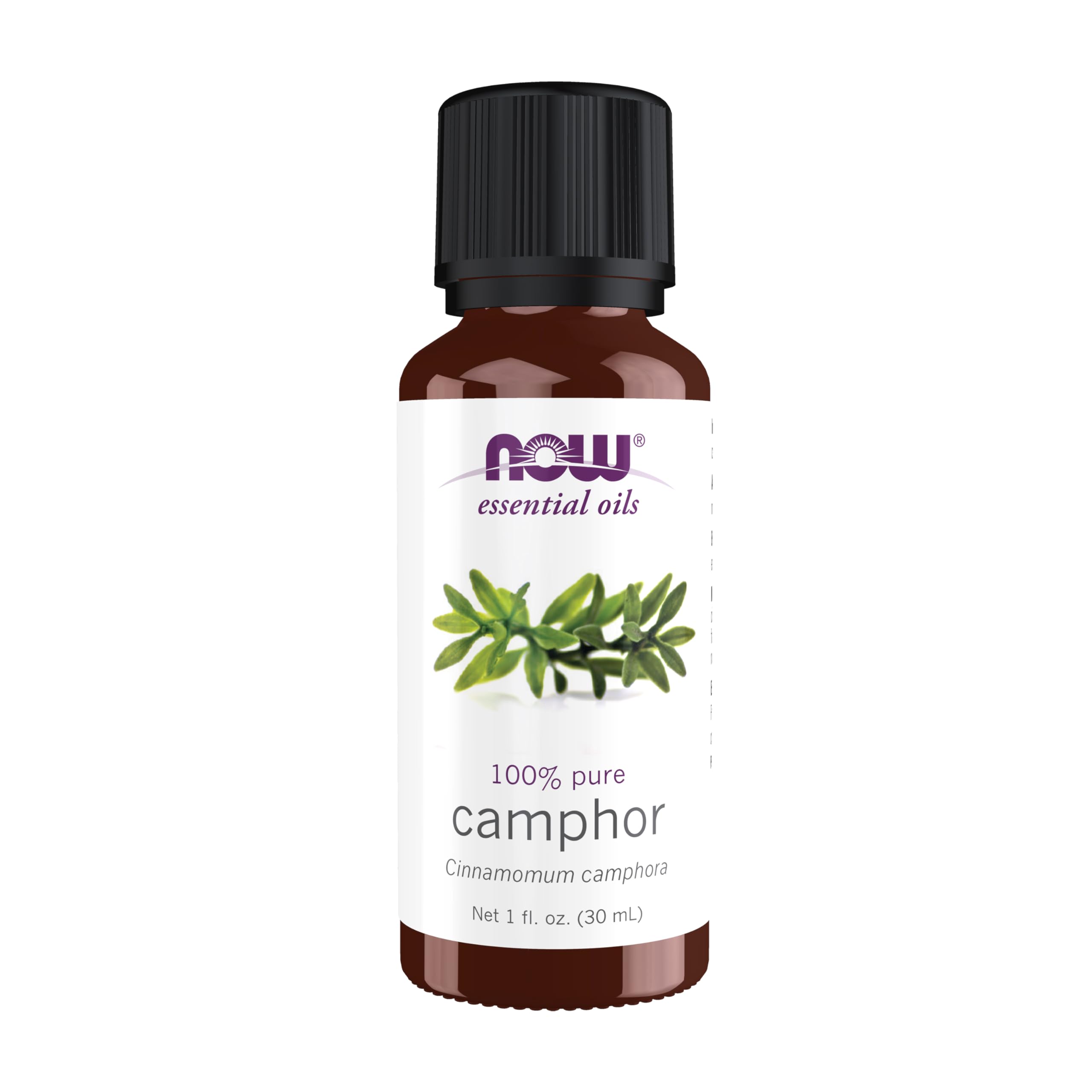 Buy now NOW Essential Oils, Camphor Oil, Camphorous Aromatherapy Scent, 100% Pure and Purity Tested, Vegan, Child Resistant Cap, 1-Ounce at indiglob india