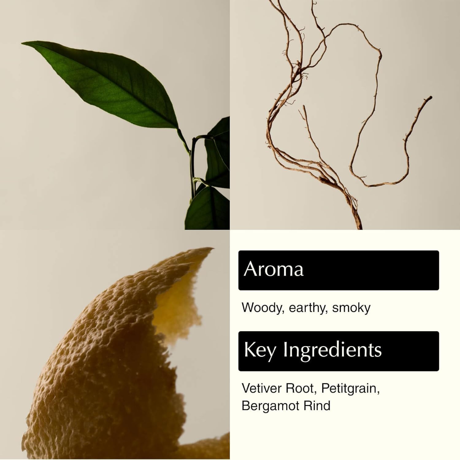 Aesop Reverence Aromatique Exfoliating Hand Wash | Exfoliating Hand Soap with Finely Milled Pumice | Gentle Cleanser & Skin-Smoothing Formula with Vetiver & Bergamot | 500mL / 16.9 oz (Pack of 5)