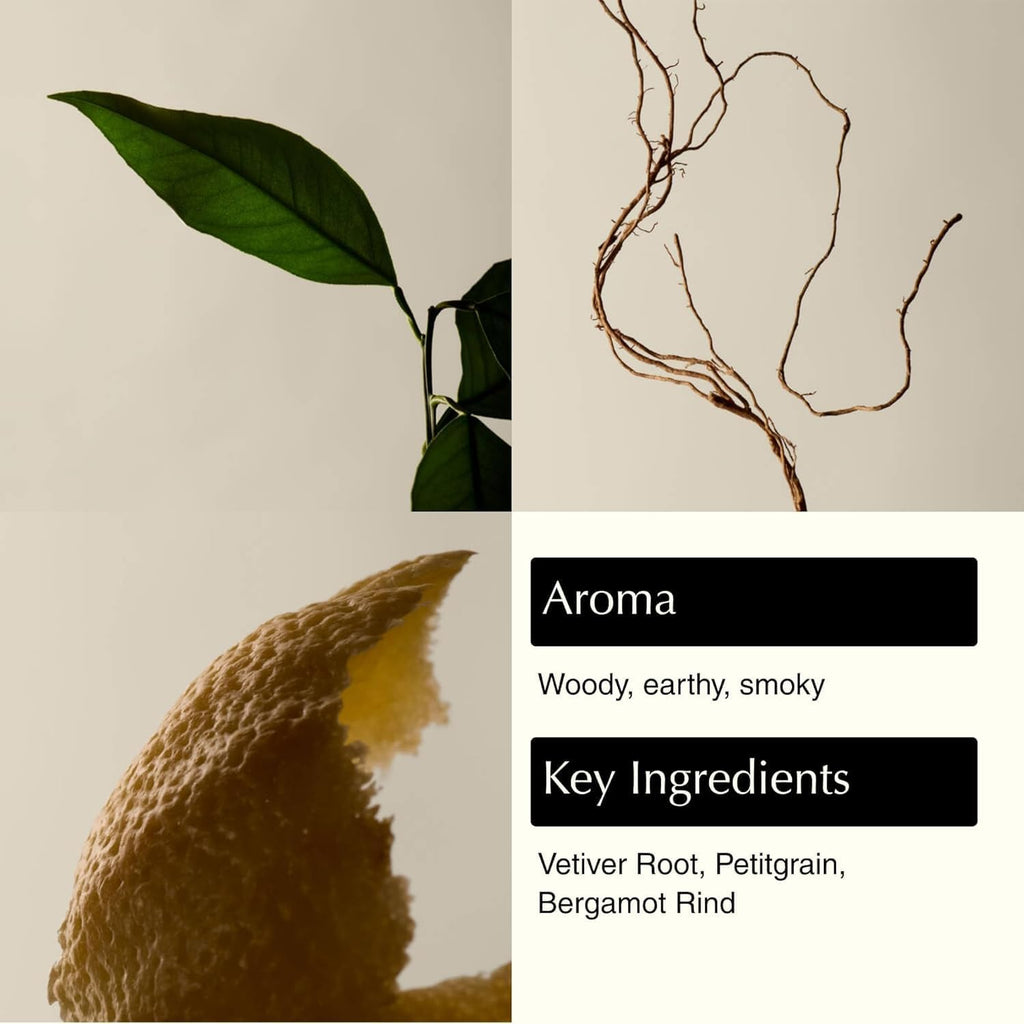 Aesop Reverence Aromatique Exfoliating Hand Wash | Exfoliating Hand Soap with Finely Milled Pumice | Gentle Cleanser & Skin-Smoothing Formula with Vetiver & Bergamot | 500mL / 16.9 oz (Pack of 5)