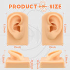 Buy now 2 Pcs Silicone Ear Model Left and Right Soft Flexible Model Fake Ear Piercing Practice Silicone Body Parts Realistic for Jewelry Display Acupuncture Mannequin Teaching Instruction at indiglob india