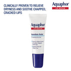 Aquaphor Lip Repair Ointment, Value Pack, 2 x 0.35 FL OZ | Lip Balm Moisturizer with Vitamins and Shea Butter, Immediate Severely Dry Lip Relief, Paraben and Fragrance Free