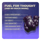 Nutrops Nootropics Mushroom Gummies for Brain Health, Sugar Free 28 ct | 1000mg of Mushrooms Including Lion's Mane, Chaga, Reishi, Cordyceps