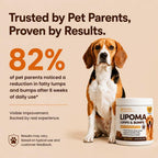 Lipoma Treatment for Dogs – Lumps & Bumps Support, Helps Reduce Fatty Tumors, Turkey Tail Mushroom Chews for Immune Health with L Carnitine, Chicken Flavor, 150 Soft Chews