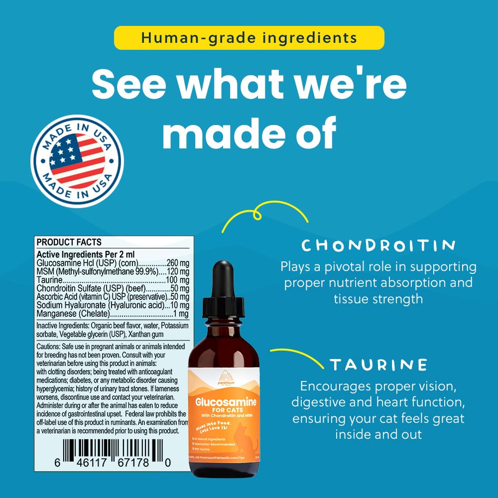Paramount Pet Health Liquid Glucosamine Chondroitin MSM for Cats, Hip & Joint Support Supplement, Supports Mobility and Flexibility, Senior Cat Liquid Joint Supplement Drops for Daily Care, 2 oz