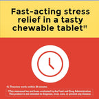 Nature Made Chewable L Theanine 200mg, L-Theanine Supplement for Stress Relief, 50 Chewable Tablets, 50 Day Supply (Pack of 2)