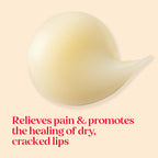 Buy now Burt's Bees Cold Sore Treatment and Medicated Lip Balm, With Menthol and Eucalyptus Oil, Natural Origin Skincare, 2 Tubes, 0.07 oz./0.15 oz. at indiglob india