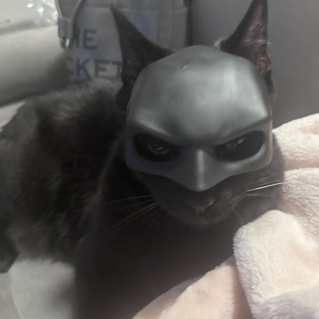 Cat Mask Cosplay, Cat Halloween Costumes, Funny Cat Costumes Accessories (Large)