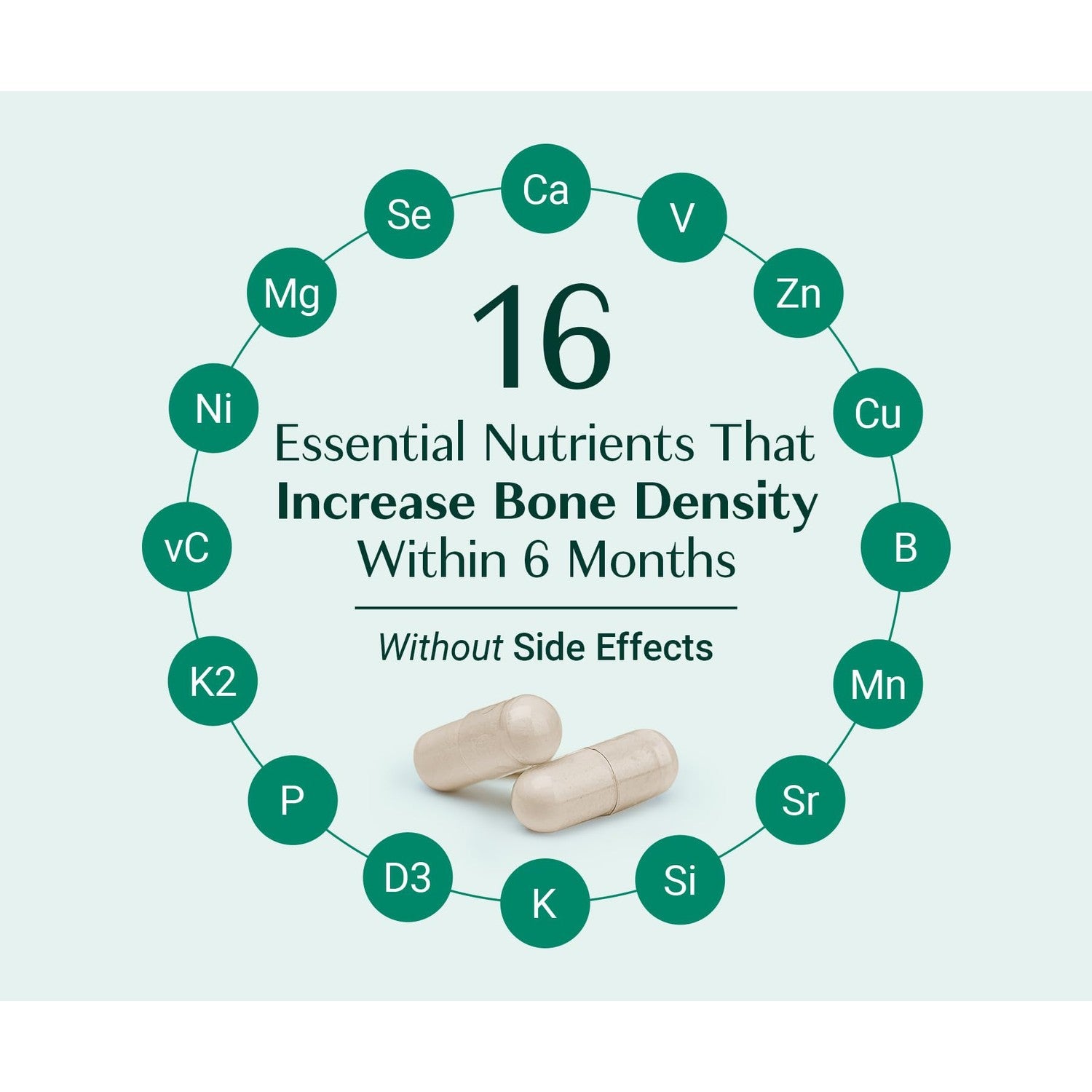 ALGAECAL Bone Builder Pack, Calcium + Strontium for Bone Density, 1 Month | Plant calcium (720mg) plus strontium, D3 (1600IU), K2 (100mg), magnesium (350mg) & 16 nutrients for bone density support.