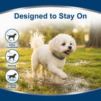Flea Collar for Dogs Small, Flea & Tick Collar for Small Dogs 4 Pack