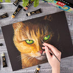Buy now ARTEZA Gouache Paint, Set of 60, 12ml/0.4 US fl oz Gouache Paint Tubes for Professionals and Students at indiglob india