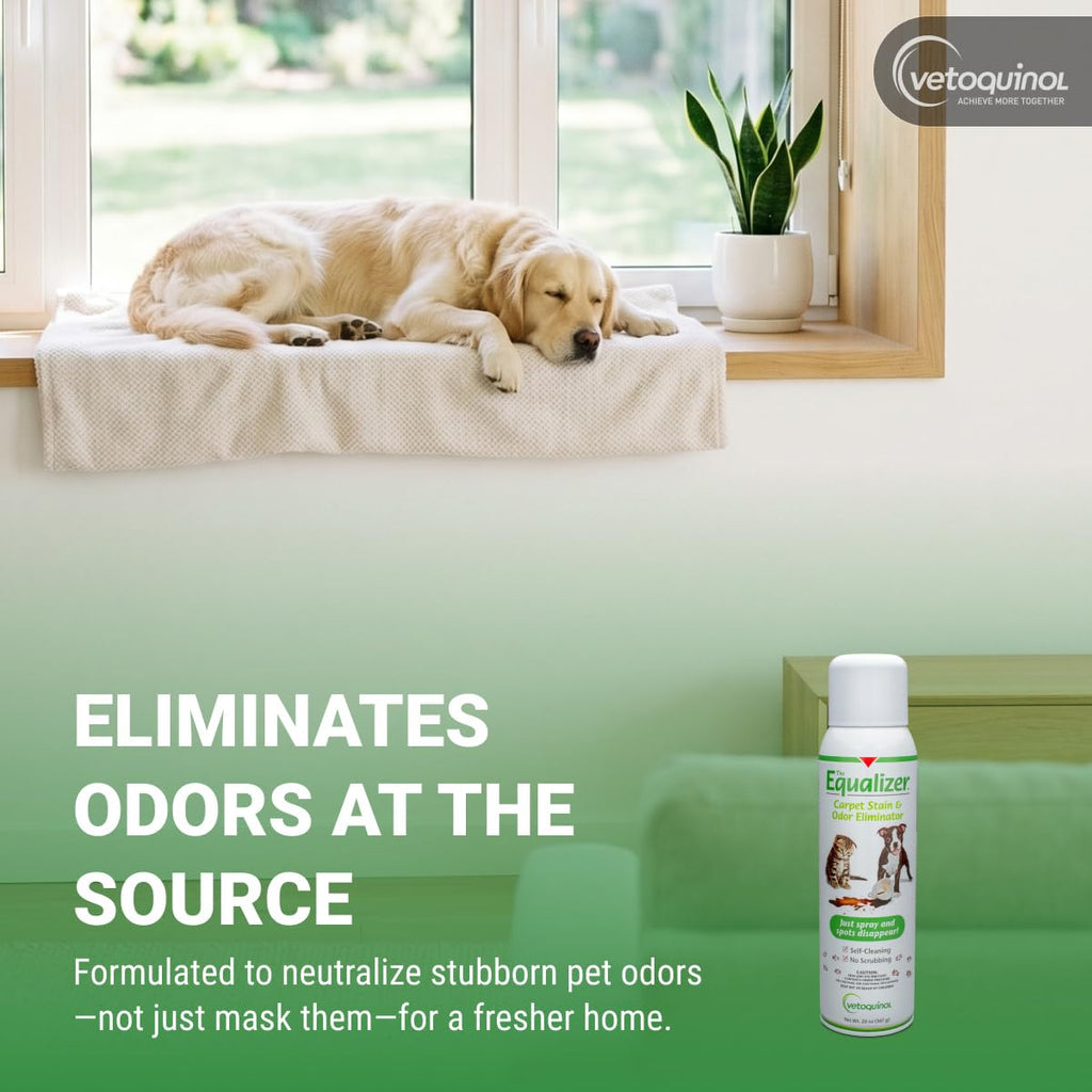 Vetoquinol Equalizer, Pet Carpet Cleaner and Stain Remover, 20 oz
