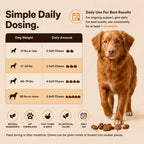 Lipoma Treatment for Dogs – Lumps & Bumps Support, Helps Reduce Fatty Tumors, Turkey Tail Mushroom Chews for Immune Health with L Carnitine, Chicken Flavor, 150 Soft Chews