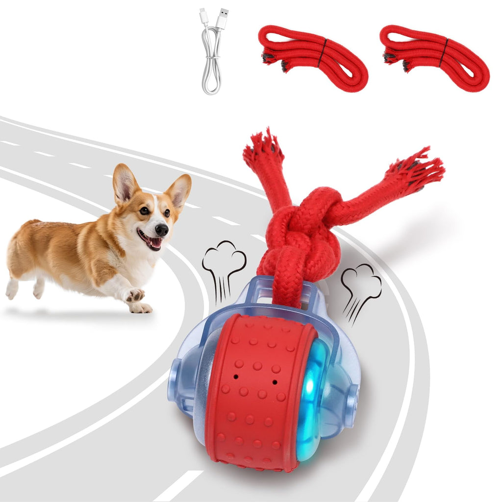 Dog Toys Interactive Rolling Ball with Rope, Motion-Activated