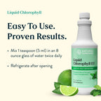 Nature's Sunshine Liquid Chlorophyll - Immunity Support, Detox & Cleanse, Chlorophyll Liquid Drops with Spearmint Oil, Natural Energy Boost, Internal Deodorant - 16 Fl Oz