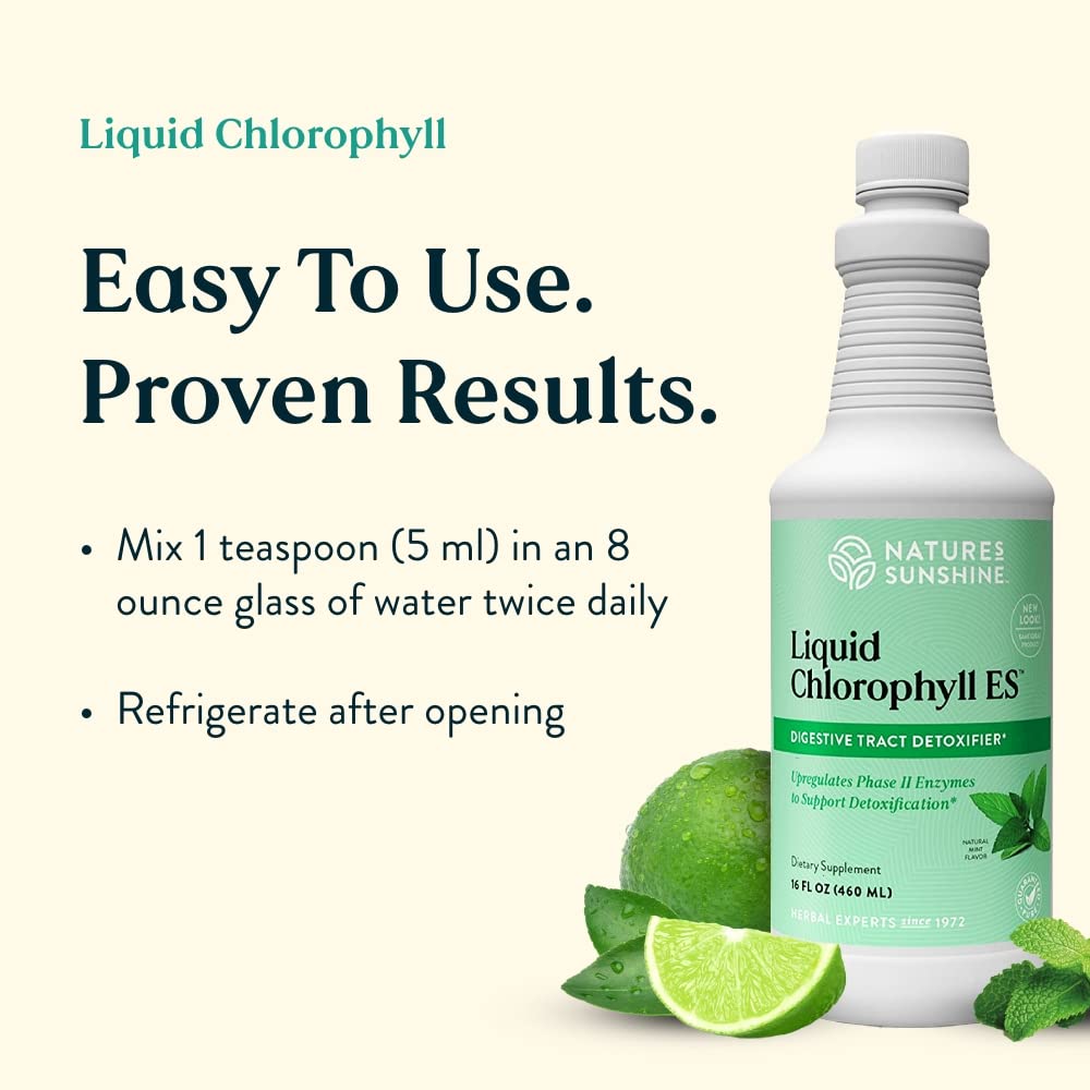 Nature's Sunshine Liquid Chlorophyll - Immunity Support, Detox & Cleanse, Chlorophyll Liquid Drops with Spearmint Oil, Natural Energy Boost, Internal Deodorant - 16 Fl Oz