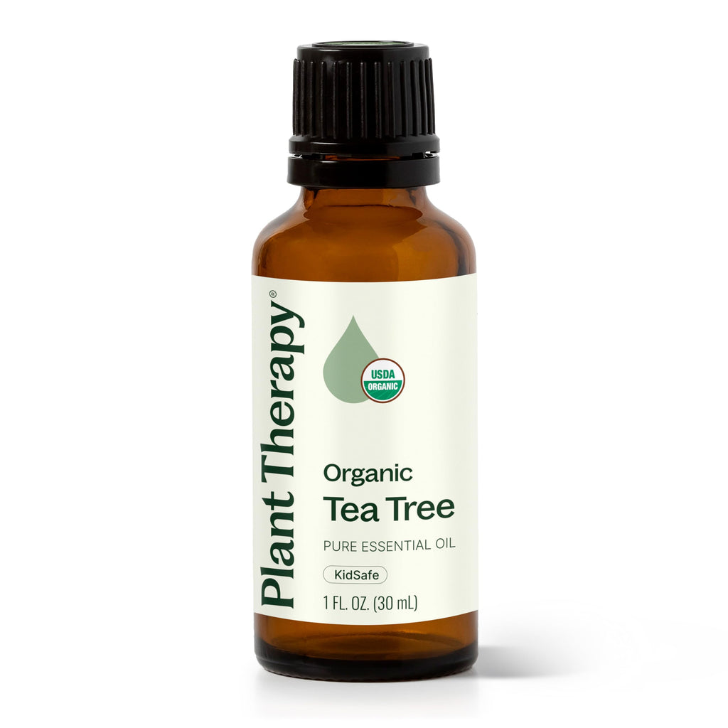 Buy now Plant Therapy Organic Tea Tree Oil (Melaleuca) 100% Pure, USDA Certified Organic, Undiluted, Natural Aromatherapy, Therapeutic Grade 30 mL (1 oz) at indiglob india