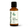Buy now Plant Therapy Organic Tea Tree Oil (Melaleuca) 100% Pure, USDA Certified Organic, Undiluted, Natural Aromatherapy, Therapeutic Grade 30 mL (1 oz) at indiglob india