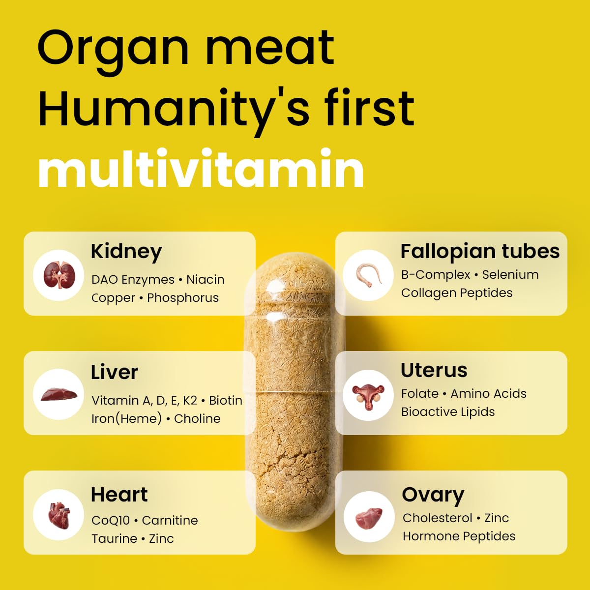 Beef Organ Supplement for Women - Hormone Balance, Iron Support, Immunity | 6-in-1 Beef Organ Complex, 100% Grass-Fed & Finished, New Zealand-Sourced, Freeze-Dried, USA-Made & Lab Tested, Zero Fillers