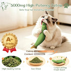 33-Pack Cat Toys for Indoor Cats & Kittens, Interactive Cat Toy