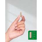 Horbäach Muira Puama Root Extract | 90 Capsules