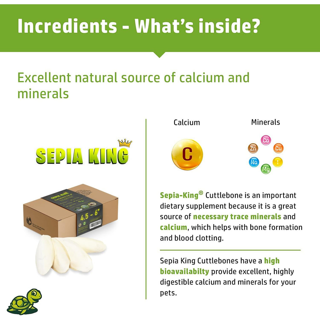 Sepia King - Medium - 100% Natural Calcium Supplement - Premium Cuttlebone Perfect for Birds, Tortoises, Snails, Reptiles - 12 Pack