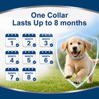 Flea Collar for Dogs Small, Flea & Tick Collar for Small Dogs 4 Pack