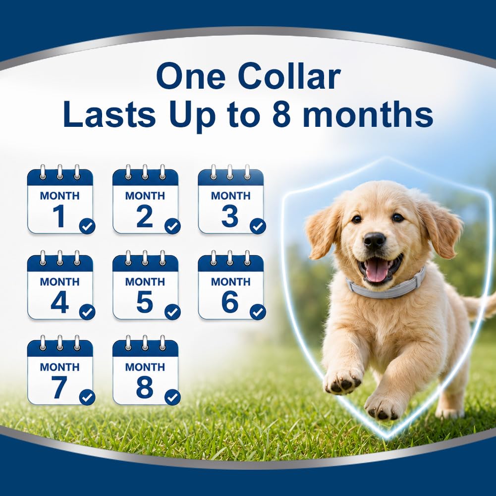 Flea Collar for Dogs Small, Flea & Tick Collar for Small Dogs 4 Pack