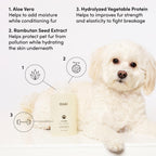 OUAI Fur Bébé Pet Shampoo - Mercer Street Scent (16 Fl oz)