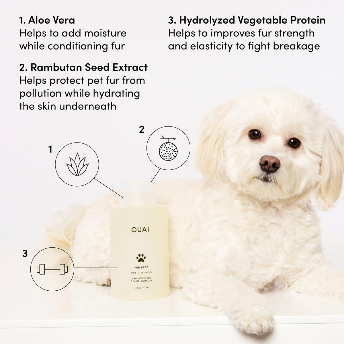 OUAI Fur Bébé Pet Shampoo - Mercer Street Scent (16 Fl oz)