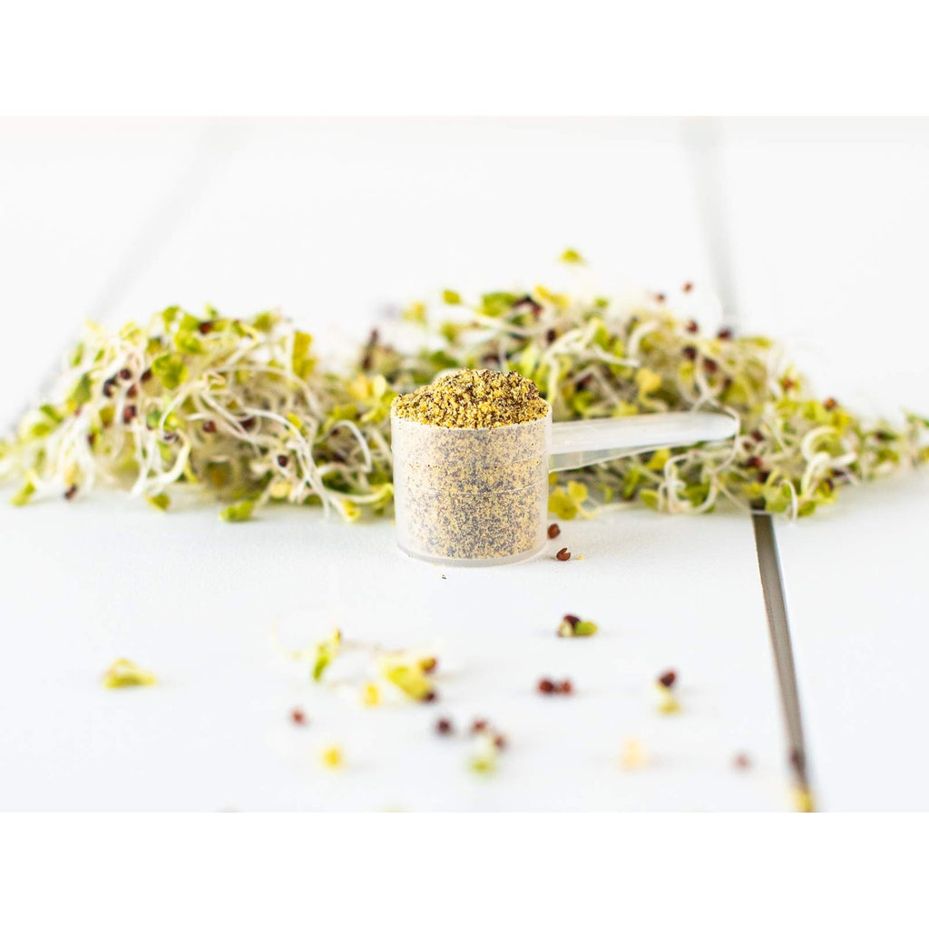 KOYAH - Organic Broccoli Sprout Powder, Freeze-dried: 36 Servings