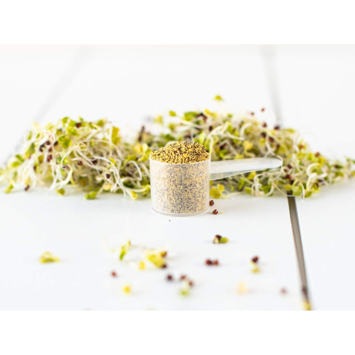 KOYAH - Organic Broccoli Sprout Powder, Freeze-dried: 36 Servings