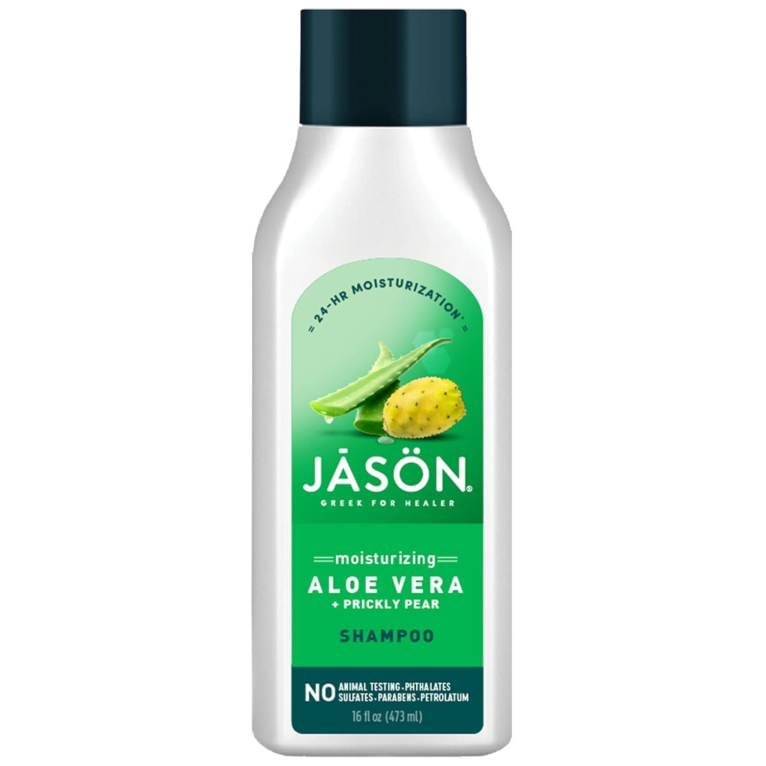 Buy now Jason Restorative Biotin Shampoo, 16 oz 16 Ounce (Pack of 1) Aloe Vera at indiglob india