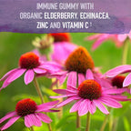 Garden of Life Organics Elderberry Gummies for Adults & Kids - Immune Support Supplement with Organic Fruit, Herbal Blend, Elderberry, Echinacea, Zinc, Vitamin C, 120 Vegan Gluten Free Gummies