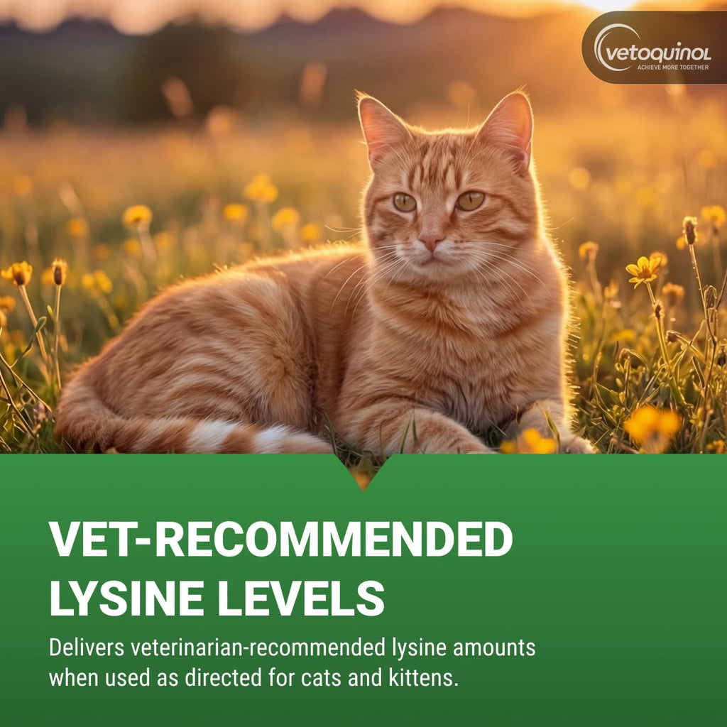 Vetoquinol Viralys, Lysine Oral Gel for Cats and Kittens, 5 oz