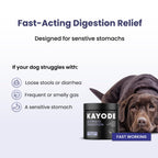 Kayode Ultimate Digestion. Fast Facting Anti Diarrhea for Dogs. Dog Fart Remedy & Dog Gas Relief. Natural Nutrients for Healthier, Firmer Stools. Pumpkin & Digestive Enzymes for Dogs.