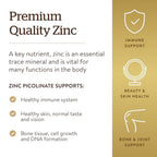 Solgar Zinc Picolinate 22 mg, 100 Tablets - Promotes Healthy Skin - Supports Immune System, Normal Taste & Vision - Antioxidant – Non-GMO, Vegan, Gluten Free, Kosher - 100 Servings