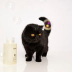 OUAI Fur Bébé Pet Shampoo - Mercer Street Scent (16 Fl oz)