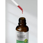 Horbäach Dandelion Root Extract Supplement| 2 fl oz | Super Concentrated