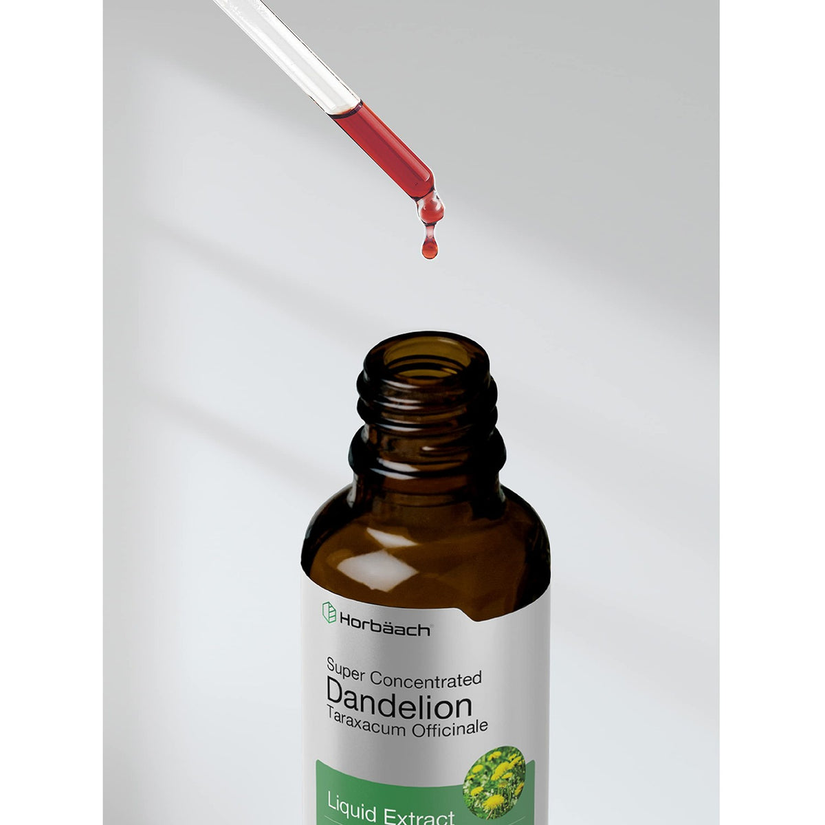 Horbäach Dandelion Root Extract Supplement| 2 fl oz | Super Concentrated